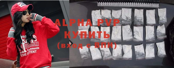 крисы Новодвинск
