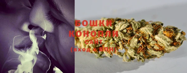 крисы Новодвинск