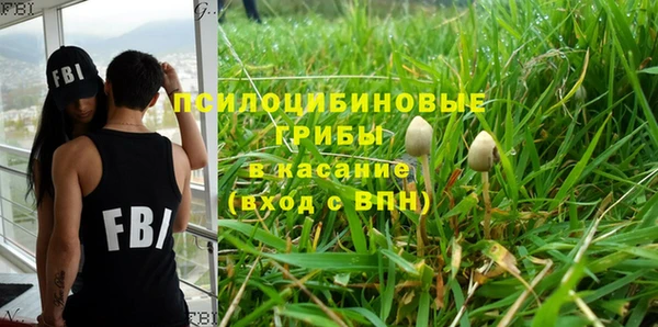 крисы Новодвинск