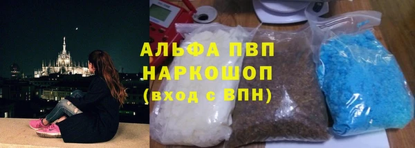 крисы Новодвинск