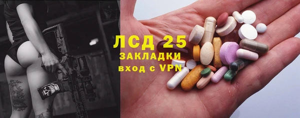 крисы Новодвинск