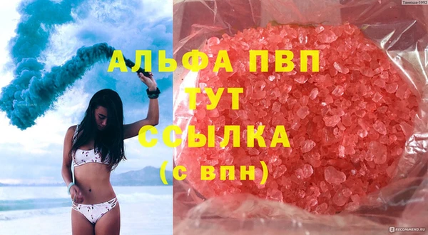 крисы Новодвинск