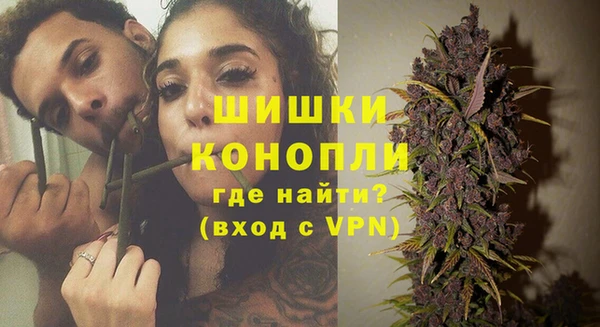 крисы Новодвинск