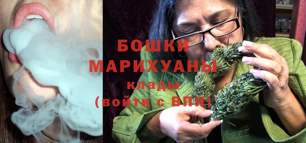 крисы Новодвинск