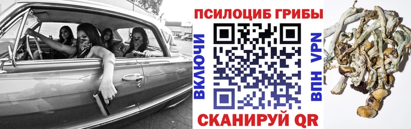 Псилоцибиновые грибы Magic Shrooms  Челябинск 