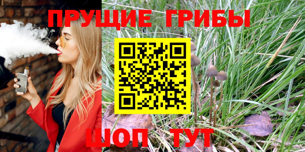 Челябинск  Псилоцибиновые грибы мухоморы  Вход с VPN 