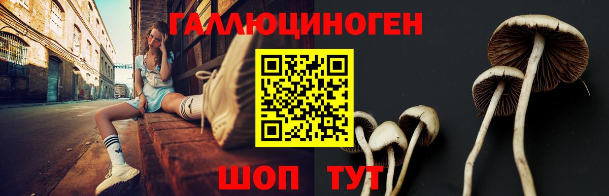 Галлюциногенные грибы мицелий Челябинск